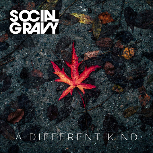 A Different Kind (2020)--EP by Social Gravy